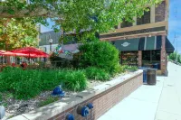 Exceptional  Brand New Downtown Guesthouse 4 blks to mainstreet food brews shops