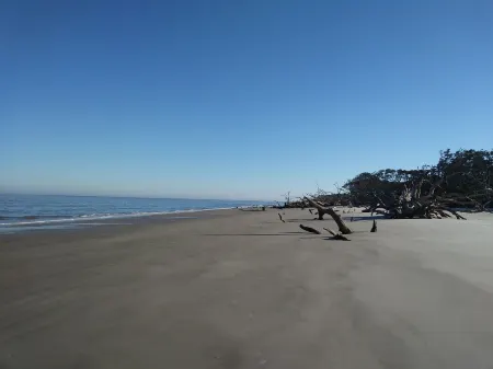 Marsh Front Home with Deep Water Dock on White Chimney River-Shellman Bluff.