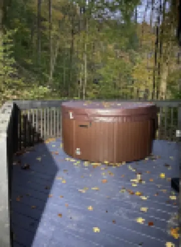 Tanzanite-- The "GEM" with a Hot Tub & WiFi!!