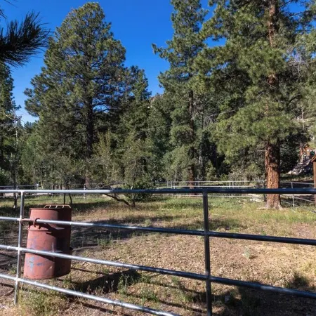 Enjoy a Cozy Cabin Near the Lake! Sleeps 8,  4 Beds.