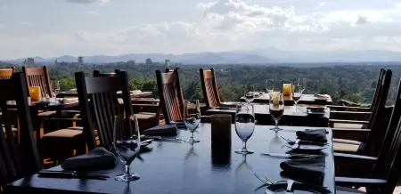 Come to Asheville! Treetop Mountain Views In Downtown AVL - FP, Dog Friendly!