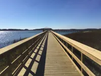 Perfect for PI graduations and Lowcountry getaways, close to PI and Sands Beach.