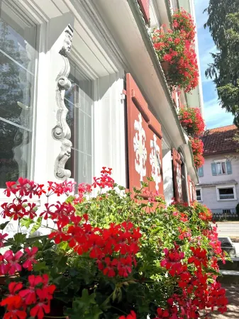 Vacation apartment "Wolkenfrei" near Lake Constance with pool and sauna