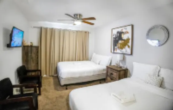 Xlnc Exotic Home Sunnyside by sdstay