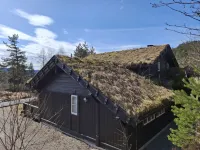 Knodden