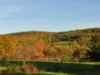 Manor House BnB, Soaking Tub, Pet Friendly 曼斯費爾德酒店