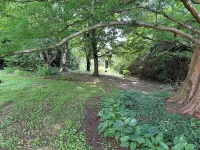 Grovemont Getaway - 3 bedroom, 2.5 bath beautifully updated historic home