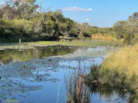 Halali Wilderness Game Ranch Hotels in Cullinan