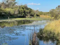 Halali Wilderness Game Ranch Hotels in Cullinan