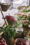 Top Garden Aparthotel Hotels in Torun