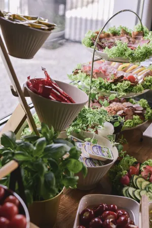 Top Garden Aparthotel Отели в г. Торунь