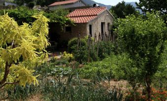 Beautiful Apartment in Between Split and Trogir