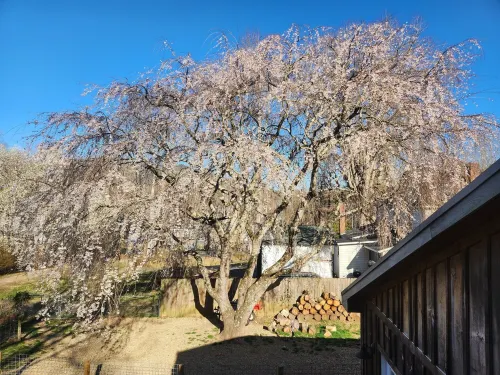 Private Upper Room w/large soaking tub/shower with view of 7 Sisters Mountains!