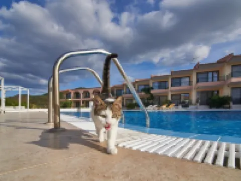 Toroni Blue Sea Hotel & Spa Hotels in Toroni