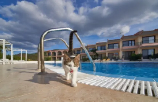 Toroni Blue Sea Hotel & Spa