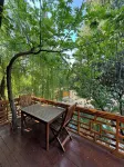 Trinitys Forest Bungalows