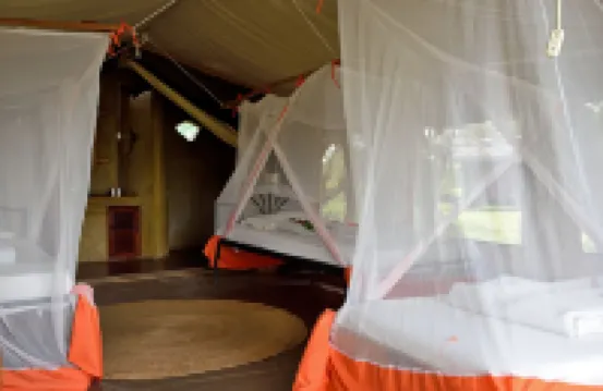 Ikoma Bush Camp Hotel di 