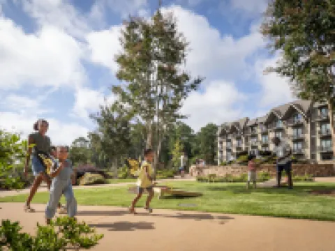 Callaway Resort & Gardens Hotels in Pine Mountain