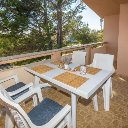 Apartments Zaklina Hotels in Vir