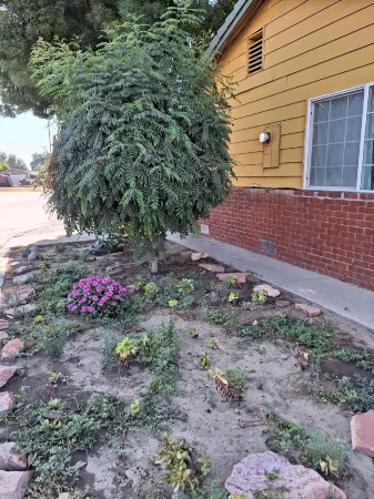 Oak motel Отели рядом с достопримечательностью «Парк Ньюкасл»