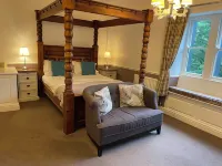 OYO New Inn Hotel - Pet friendly