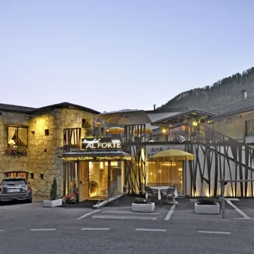 Hotel Al Forte Hotels near Pralongia