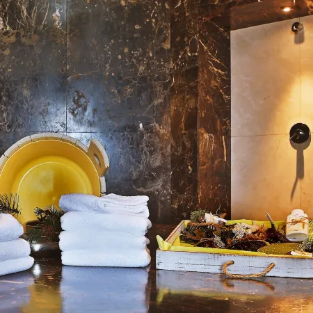 Wellness- Nationalpark Hotel Schliffkopf, Bwsc