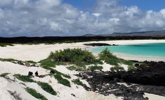 Galápagos Eco Friendly
