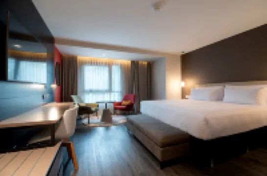 Soro Montevideo, Curio Collection by Hilton