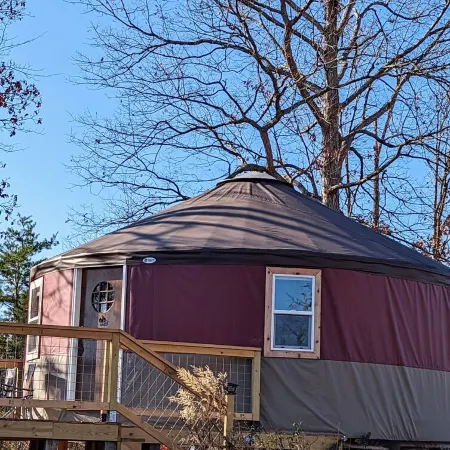 The Hive - Yurt on Hobby Farm