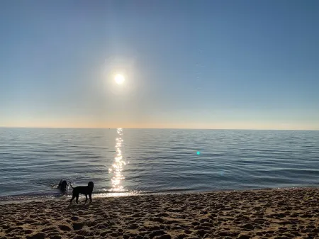 Relaxed Retreat - Hot Plunge Pool, Wood Fire, Pet Friendly, 4pm Sun Checkout,