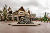 Dog-Friendly Home w/Fast WiFi, Full Kitchen, Gas Fireplace, Private Washer/Dryer