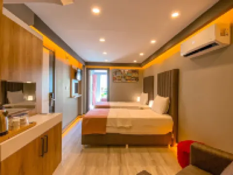 ロペラ デラックス ホテル エドレミトのホテル