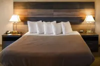 Clarion Hotel Philadelphia International Airport Hotels in Ridley Township
