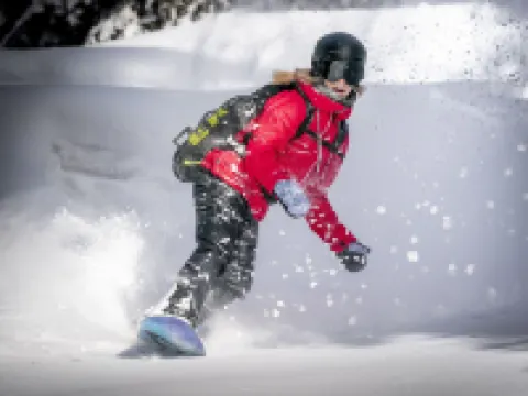 Flem Mountain Lodge Hotels in Flims