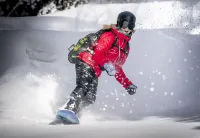 Flem Mountain Lodge Hotels in Flims