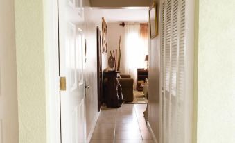 New Kingston Guest Apartment VII