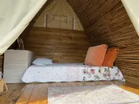 Esquipulas Rainforest Hotels in Copey District
