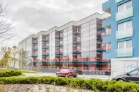 Aquarius, Sun & Snow