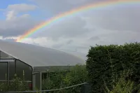 Apartment near Bird Park Hotels in Bomlitz