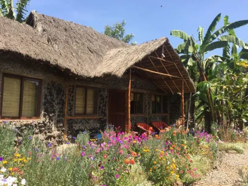 Mt. Kenya Riverside Retreat - Homestay