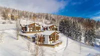 Apartamenty Sun & Snow Szklarska Perła Hotels near Szrenica