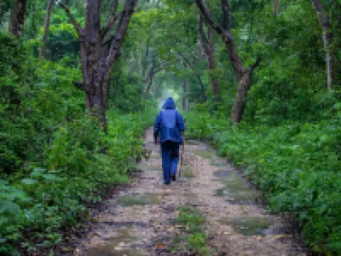 Samarth Bardia Adventure Resort Hotels in Bardia