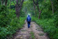 Samarth Bardia Adventure Resort Hotels in Tikapur