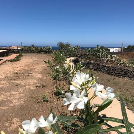 Etherea - I Dammusini di Pantelleria