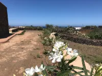 Etherea - I Dammusini Pantelleria Hotel in zona Azienda Vinicola Minardi