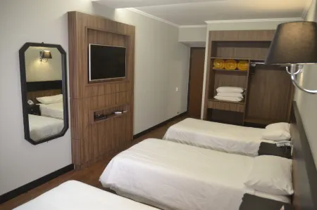 Premium Vila Velha Ponta Grossa Отели в г. Понта-Гросса