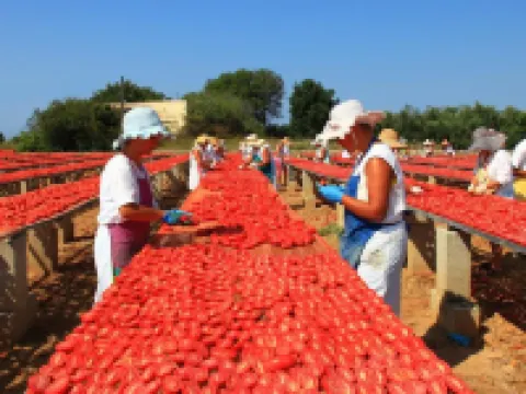 B&B Rosso Salento Hotels in Alliste