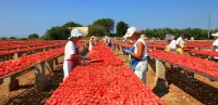 Rosso Salento B&B