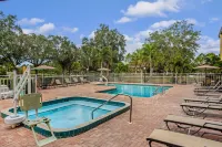 Comfort Inn & Suites Sarasota I75 - Wifi